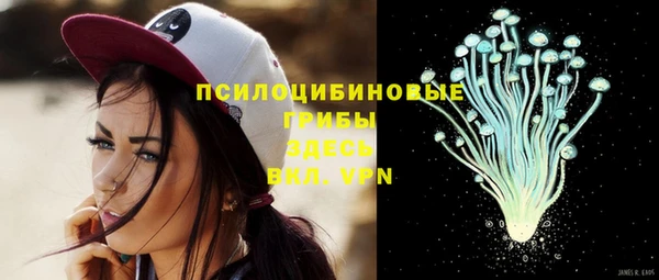 бутират Зеленодольск