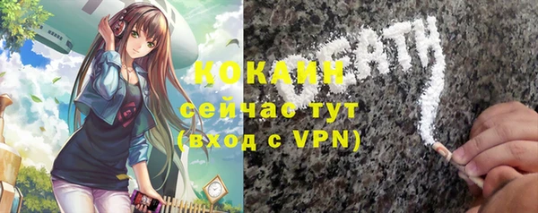 индика Инта