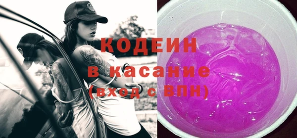 индика Инта